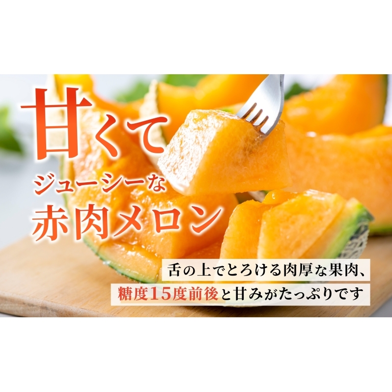 北海道産 有珠メロン 2玉 セット 赤肉 Lサイズ 1.6kg以上×2玉 ツル付き レッドルピア 果物 めろん フルーツ くだもの 完熟 旬 ご褒美 ギフト お祝い 産地直送 お取り寄せ 北海道 藤川