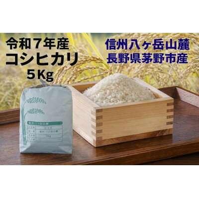 【ふるさと納税】【令和7年産】信州八ヶ岳山麗 長野県産コシヒカリ 精米5kg(5kg×1袋)【1719506】