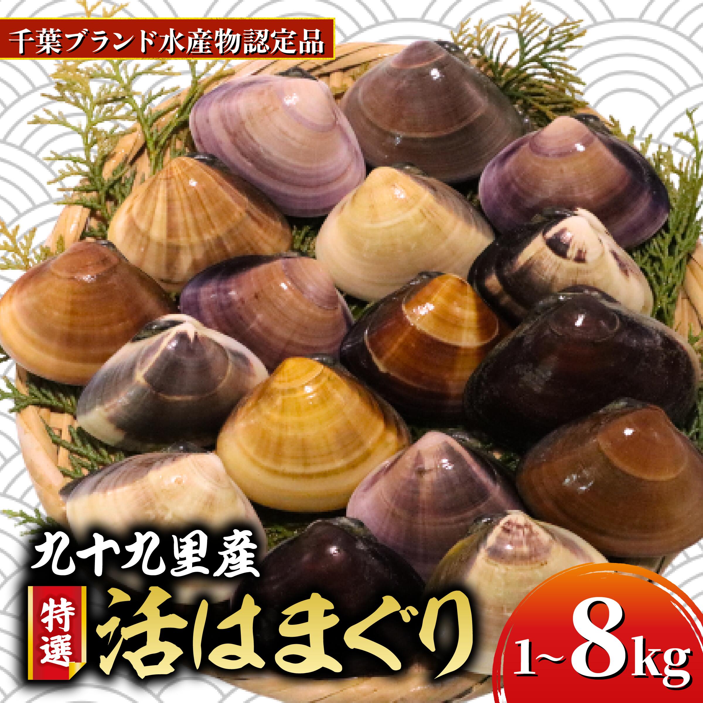 ≪千葉ブランド水産物認定品≫九十九里産活けはまぐり 約1.6kg/17～22個【配送不可地域：離島】