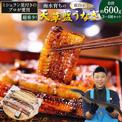 【毎月定期便】希少!海水育ちの天草藍うなぎ 紅白3～4尾セット(宇城市)全2回【配送不可地域：離島】【4056949】
