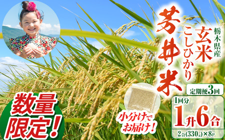 【ふるなび限定】【定期3回】【数量限定】【令和8年度】那珂川町産芳井米 玄米 330g（2合分）×8 | こしひかり 米 ごはん  ふっくら もちもち  ふるさと納税 那珂川町 栃木県