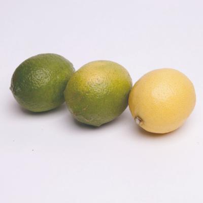 ふるさと納税 日高町 家庭用 レモン2.5kg+250g(傷み補償分)【和歌山有田産】【防腐剤・WAX不使用】【訳あり】 |  | 02