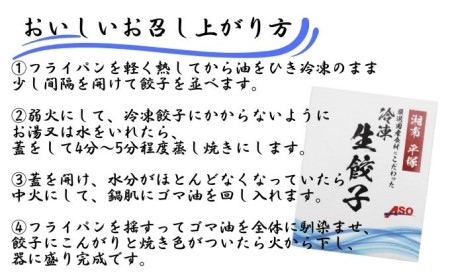 製麺会社の冷凍生餃子 90個 国産 餃子