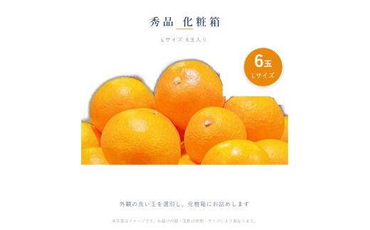 愛果28号 ( 紅まどんな と同品種 ) 秀品 Lサイズ 6玉 (化粧箱入り) 【2026年11月下旬より順次発送】 | あいか 愛媛みかん ミカン 蜜柑 まどんな フルーツ 柑橘 果物 ギフト 贈り