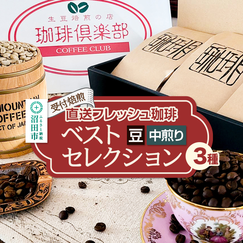 《受付焙煎》直送フレッシュ珈琲 ベストセレクション【豆／中煎り】各200g×3種 計600g 珈琲倶楽部 沼田店 [コーヒー 珈琲 coffee]