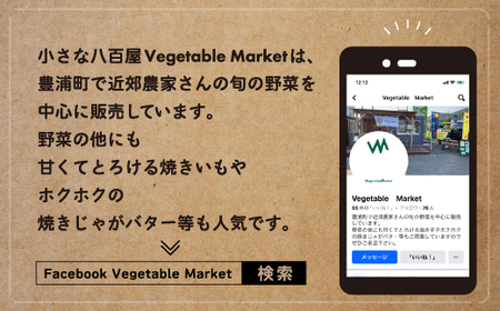 北海道 豊浦 さつまいも シルクスウィート 約4kg 【土付き サイズ混合・不揃い】 TYUB005