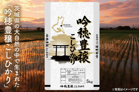 ＜令和6年産＞ 新米 吟穂豊穣こしひかり 5kg 精米 特別栽培 (茨城県共通返礼品・常陸太田市産) 新米 コシヒカリ こしひかり 米 ごはん コメ お米 白米 国産 茨城県産_EG001