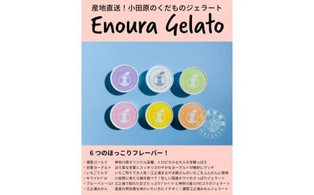 定期便（2カ月ごと全６回）小田原産江之浦ジェラート６種（みかん、湘南ゴールド、ブルーベリーミルク、いちごミルク、キウイヨーグルト、甘夏ヨーグルト）120mlカップ各２個合計１２個【 神奈川県 小田原市