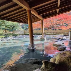 山梨県南部町秘湯「奥山温泉」日帰り入浴券(1名様分)【10枚】【1619558】