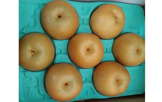 ※画像はイメージです