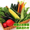 【ふるさと納税】 【南房総市産】季節のお野菜詰め合わせ mi0047-0001 千葉県 南房総市 旬 新鮮 旬野菜 セット レシピ アレンジ 栄養素 食材 野菜BOX 野菜セット 春野菜 夏野菜 秋野菜 冬野菜 お取り寄せ グルメ 送料無料