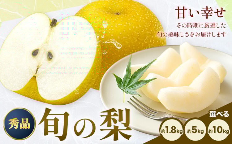 
                  先行予約 おまかせ梨 秀品 選べる内容量 約1.8kg 約5kg 約10kg 日本フルーツ株式会社《8月上旬-10月上旬頃出荷》熊本県 荒尾市 なし 梨 果物 フルーツ デザート ギフト ご贈答
                