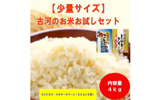 古河のお米お試しセット（コシヒカリ・ミルキークイーン各2kg） | 米 こめ コメ 4キロ 精米 食べ比べ 食べくらべ こしひかり コシヒカリ ミルキークイーン みるきーくいーん 古河市産 茨城県産 贈答 贈り物 プレゼント 茨城県 古河市 直送 農家直送 産地直送 送料無料 着日指定可 着日指定OK ※2025年9月中旬頃より順次発送予定 _DP13