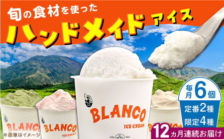 【全12回定期便】ハンドメイドアイスクリーム 食べ比べ 6個セット ( 6種 × 各1個 ) 詰め合わせ アイスクリーム ジェラート 熊本 山都町 アイス【BLANCO ICE CREAM】[YCM004]