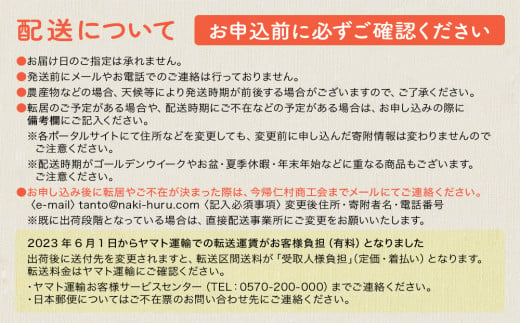 【先行予約】【2025年6～8月頃配送】今帰仁産パインアップ