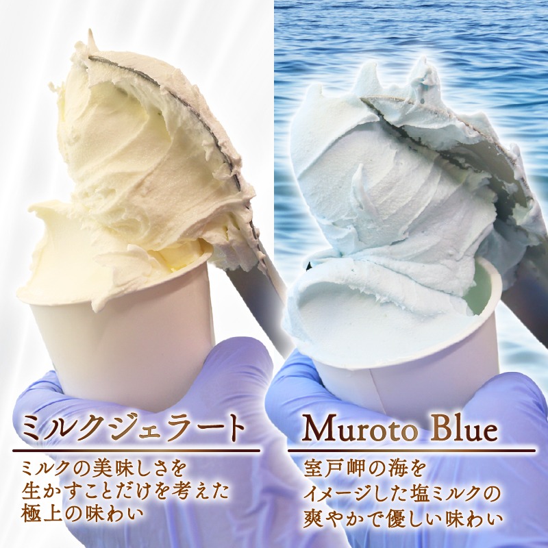 【大好評】 ジェラートセット ミルク 塩バニラ 10個 アイス アイスクリーム 詰め合わせ 家庭用 [rk045]