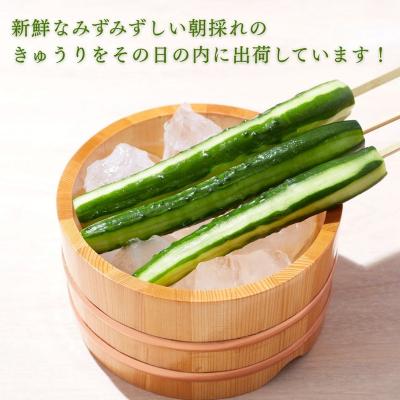 ふるさと納税 小松市 きゅうり 2.5kg (25本以上) きゅうり 野菜 |  | 01