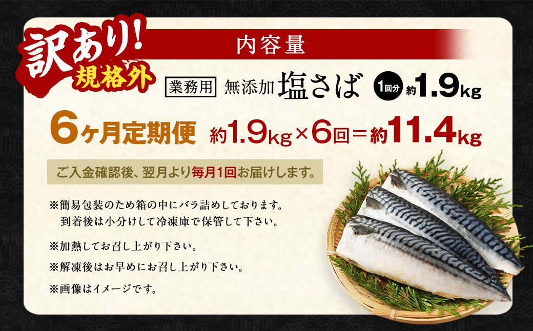 【6ヶ月定期便】【訳あり規格外】 業務用 無添加塩さば 1.9kg