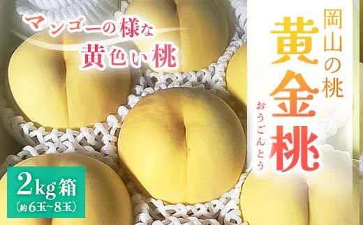 
            先行受付【2025年8月上旬より発送予定】岡山県産・マンゴーの様な黄色い桃・黄金桃(2kg箱) TY0-0326
          