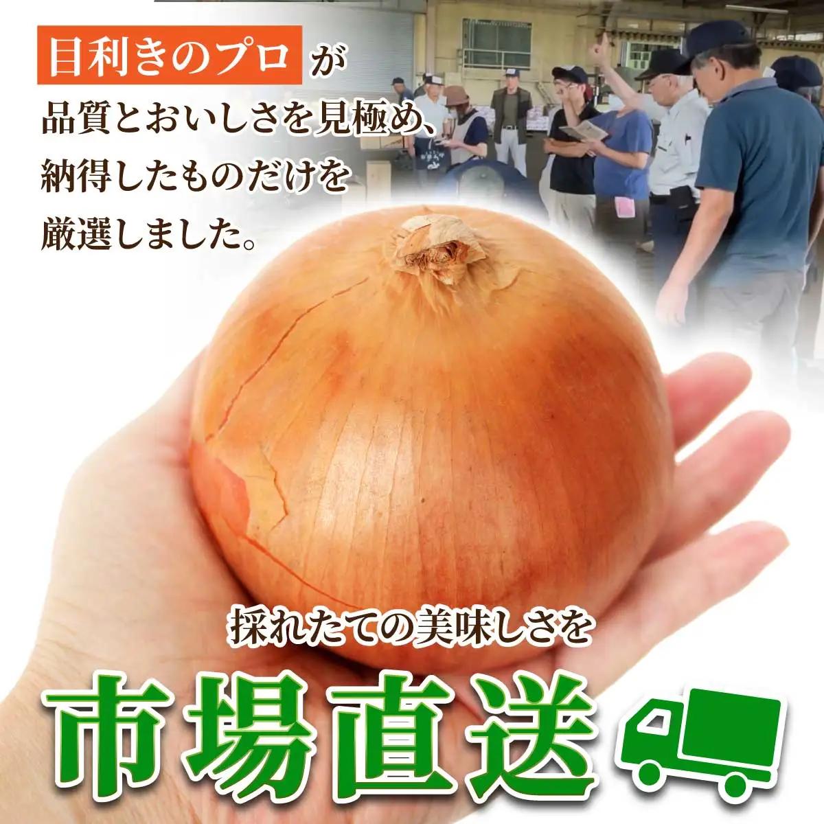 北海道岩見沢産たまねぎ 20kg (市場の目利き・岩力ブランド)【a142-009】