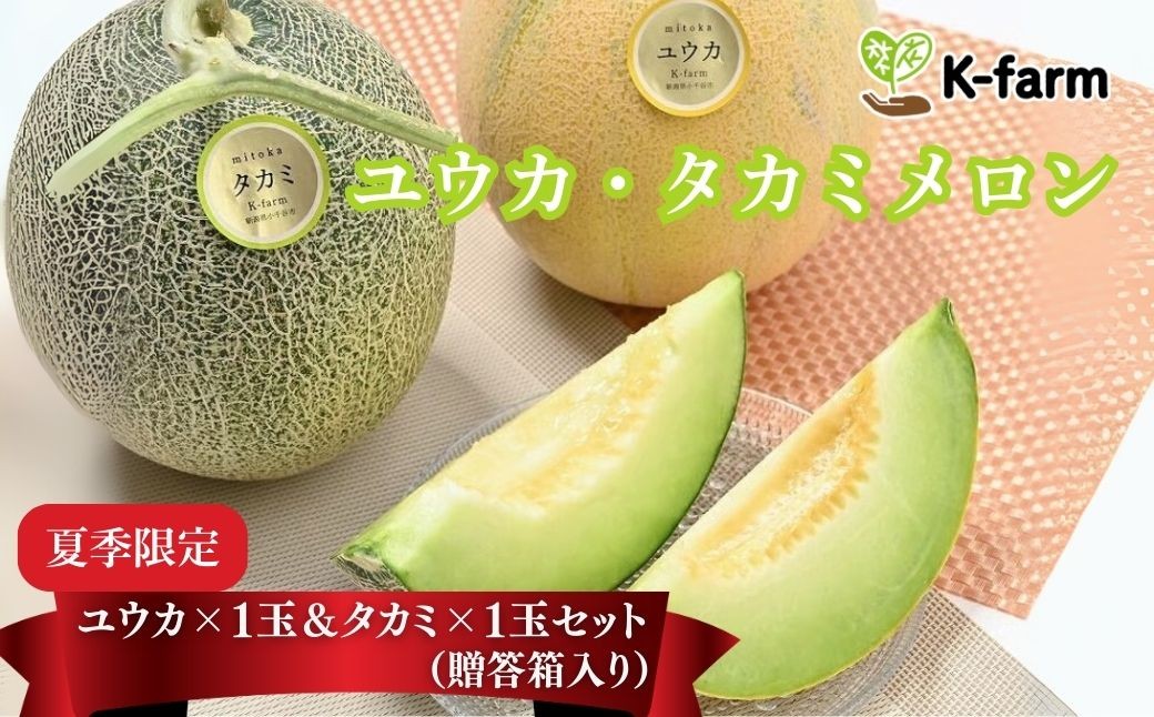 
                  【2026年 先行予約】 メロン 2玉  K-farmのメロン ユウカ×1玉 ＆ タカミ×1玉セット 贈答箱入り | 国産 めろん メロン ユウカ タカミ 糖度 果物 旬 夏 人気 おすすめ 産地直送 フルーツ デザート ギフト 贈答 小千谷産  果実 果汁 贅沢 ご褒美 新潟県 小千谷市【0054-0002-01】
                
