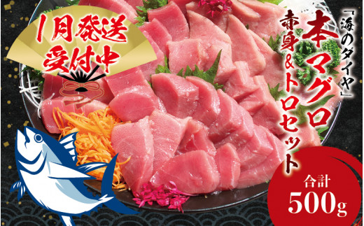 【期間限定 特別寄付額】本マグロ（養殖）トロ＆赤身セット 500g 【1月発送】高級 クロマグロ  中トロ 中とろ まぐろ マグロ 鮪 赤身 柵 じゃばらまぐろ 本マグロ 本鮪【nks110B_cp-1】