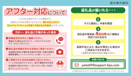 大粒スカイベリー＆新品種とちあいか 食べ比べセット《12月より順次出荷》｜いちご 苺 フルーツ 果物 産地直送 [0368]