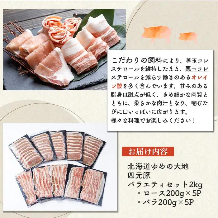 【北海道ブランド豚】「ゆめの大地」 バラエティセット（ロース200g×5P・バラ200g×5P）【2700901】