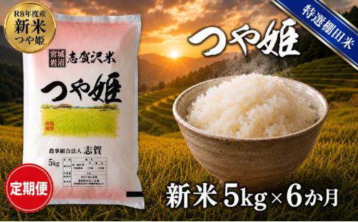 【 令和8年産 】新米 特選棚田米 つや姫 定期便 5kg 6ヶ月 おこめ お米 白米 精米 コメ ライス ごはん ご飯 国産米 棚田米 ブランド米 特A ツヤ もちもち 高級 おべんとう 弁当 おにぎり 甘み コク 食味 毎日の食卓 冷めてもおいしい 志賀沢米 岩沼産米