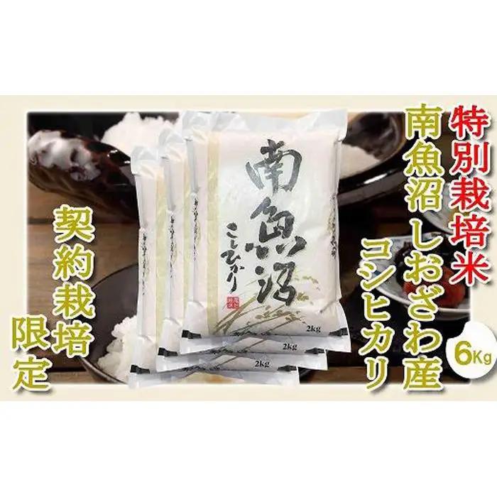 【令和7年産】【精米６Kg】特別栽培 生産者限定  南魚沼しおざわ産コシヒカリ【銘柄米 ブランド米 精米 こしひかり コシヒカリ 魚沼産 新潟米 産地直送 お米 米 こめ コメ ご飯 御飯 ごはん】