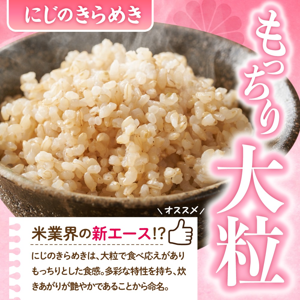 【ふるプレ限定品】2025年11月より発送【令和7年度産】群馬県千代田町産 にじのきらめき 5kg×1袋 (玄米)