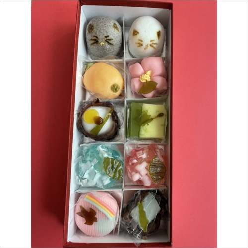 猫 NEKO-NO-EN(ねこのえん),季節の上生菓子10ヶ入セット　お菓子 おかし 猫好き ねこ プレゼント お返し ギフト 贈り物 友人 誕生日 手土産 スイーツ ふるさと 納税 猫 ふるさと 納税 生菓子 和菓子 京菓子 猫の日 送料無料