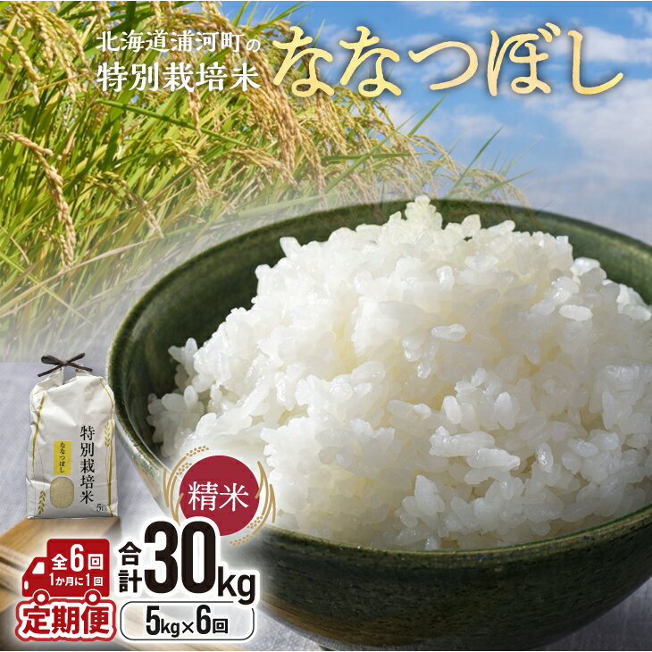 【ふるさと納税】【先行受付開始！】浦河の特別栽培米「ななつぼし」精米(5kg×1袋)定期便(全6回)[37-1490] 北海道 浦河 ふるさと納税 特別栽培米 ななつぼし 令和7年度 米 精米 定期便 月に1回発送 全3回 送料無料