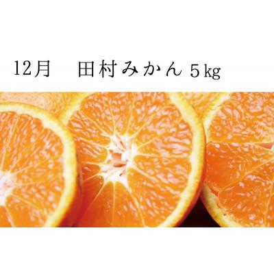 ふるさと納税 北山村 【発送月固定定期便】秋の味覚 果物定期便 柿・みかん　旬のフルーツを毎月お届け【tkb130】全3回 |  | 03