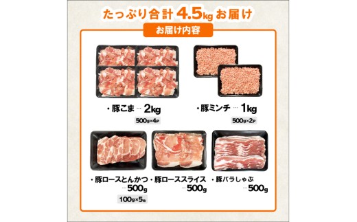 豚肉 宮崎県産豚肉 バラエティ セット 計4.5kg [南九フーズ 宮崎県 日向市 452061538] こま ミンチ 挽肉 ロース とんかつ しゃぶしゃぶ 生姜焼き 小分け