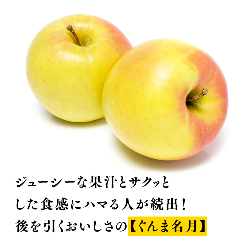 【10～11月発送】贈答用 農家直送 樹上熟成りんご シナノスイート・ぐんま名月 約5kg【平川市産・青森りんご】