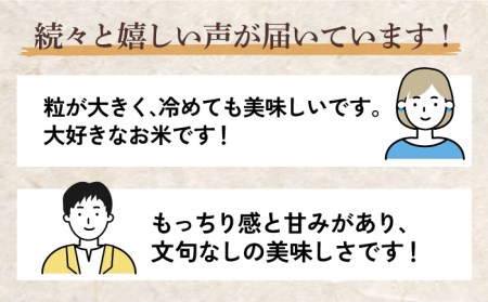 令和6年産 さがびより 5kg 増田米穀 / 米 お米 白米 精米 ブランド米 [FBM001-6]