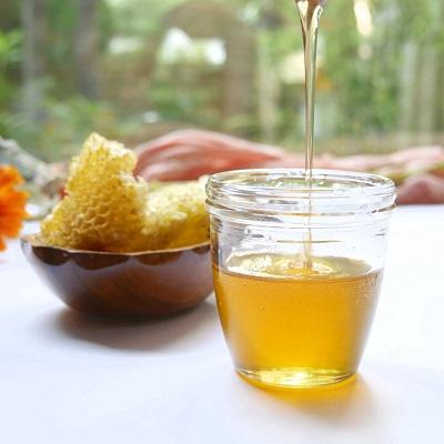 ふるさと納税 南九州市 純粋国産100%アカシア蜂蜜600g |  | 03