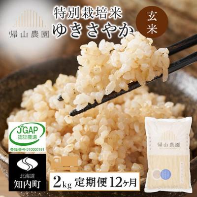 ふるさと納税 知内町 【12カ月定期便】特別栽培米産地直送「玄米ゆきさやか 2kg」《帰山農園》