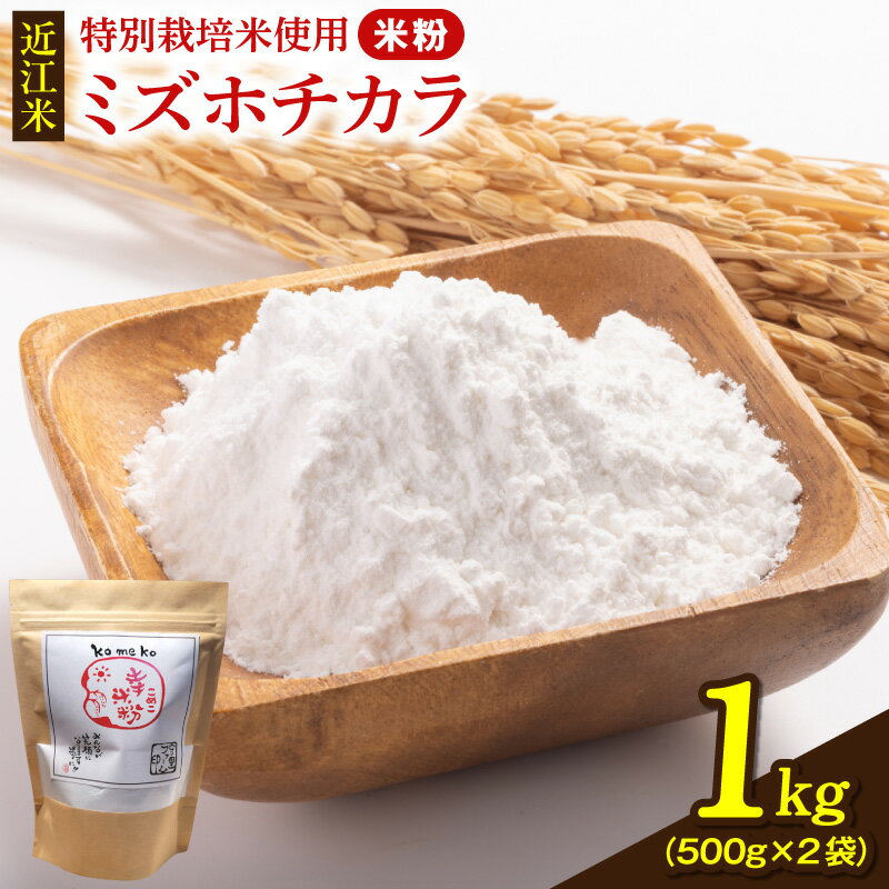 【ふるさと納税】近江米 米粉 1キロ 500g × 2袋 ミズホチカラ 特別栽培米 使用 こだわり パン おすすめ 香ばしい 香り ふっくら 仕上がり 手作り パン作り 料理 お米 粉 ヘルシー 滋賀県 守山市 お取り寄せ 送料無料