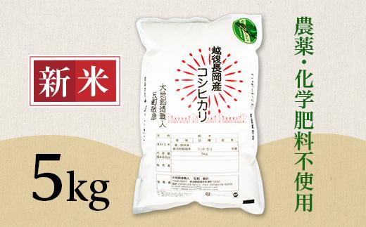E1-S051B新潟県産米コシヒカリ5kg