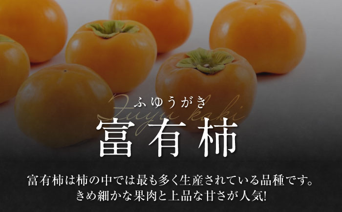 【先行予約】【11月上旬から順次発送】【期間・数量限定】愛媛県産 富有（ふゆう）柿 3Lサイズ 約5kg箱（15玉入り） かき カキ 柿 果物 フルーツ 愛媛県大洲市/愛媛たいき農業協同組合[AGAO