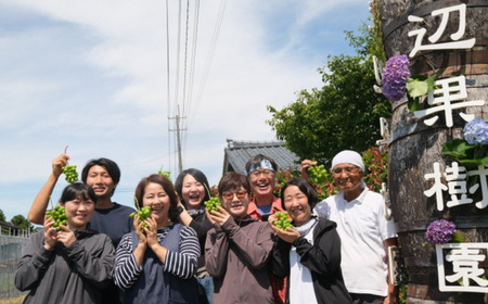 シャインマスカット ご自宅用 2kg 令和7年度 自家用 新潟県 三条市産 ぶどう [渡辺果樹園] 【027S040】
