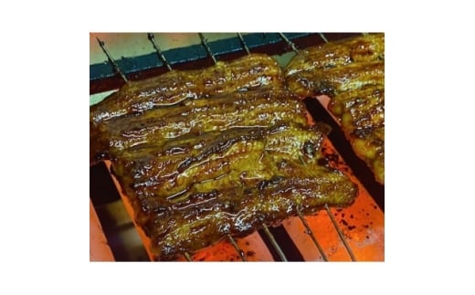 国産　うなぎ　2尾　真空パック【1657677】