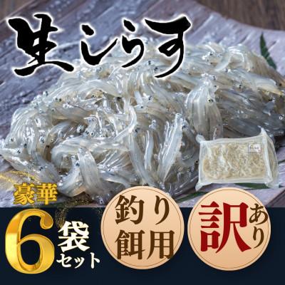 ふるさと納税 南知多町 【知多半島産】 生しらす 釣り餌用 250g×6袋 岬だより