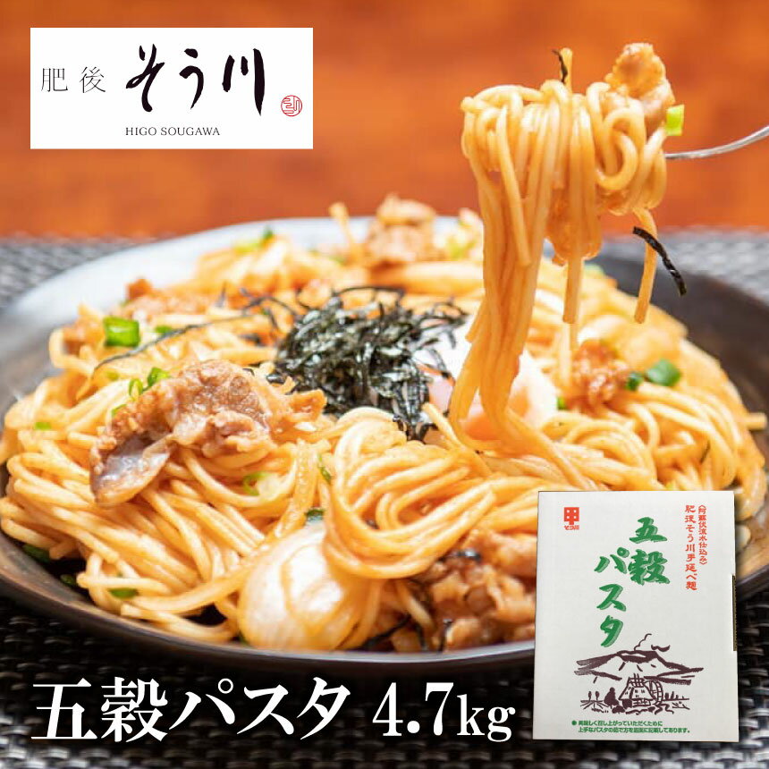 【ふるさと納税】五穀パスタ 4.7kg | パスタ 麺セット 麺 手延べ 4.7キロ 肥後そう川 ミナミノカオリ 国産 五穀 大麦 玄米 あわ ひえ きび 自炊 大容量 業務用 送料無料 熊本県 玉名市