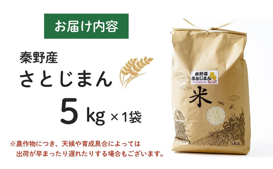 【令和7年新米】秦野のお米（さとじまん）5kg （11月～順次発送）| 神奈川県産 秦野市 大地 5kg 5キロ 米 こめ コメ お米 白米 精米 お取り寄せ 贈答 人気 ランキング ごはん ご飯 贈