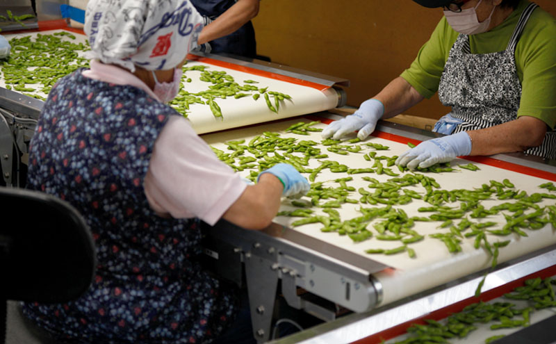冷凍つまりちゃまめ 1.5kg（300g×5袋）冷凍枝豆　枝豆　茶豆　えだまめ　冷凍野菜