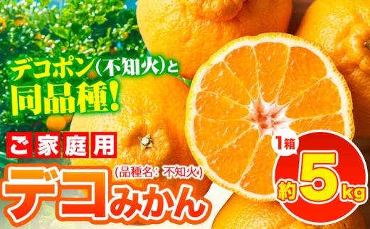 デコポン ( 不知火 )と同品種！デコみかん 熊本県産 (津奈木町産含む) 訳あり 約5kg前後(12-24玉前後) 柑橘《2月上旬-4月上旬頃出荷》 みかん フルーツ 不知火 訳あり 訳アリ ご家庭用 でこみかん 果物