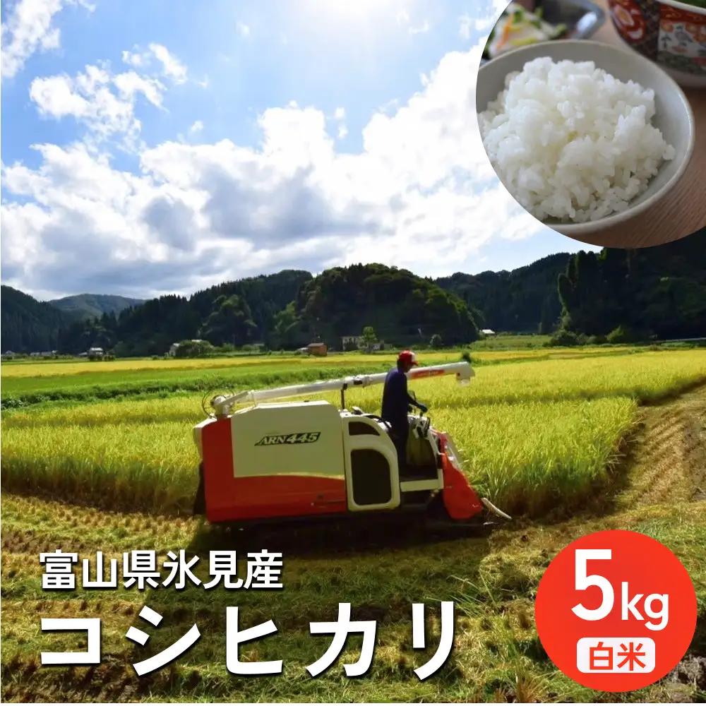 米 令和8年産 富山県氷見産 コシヒカリ 白米 5kg